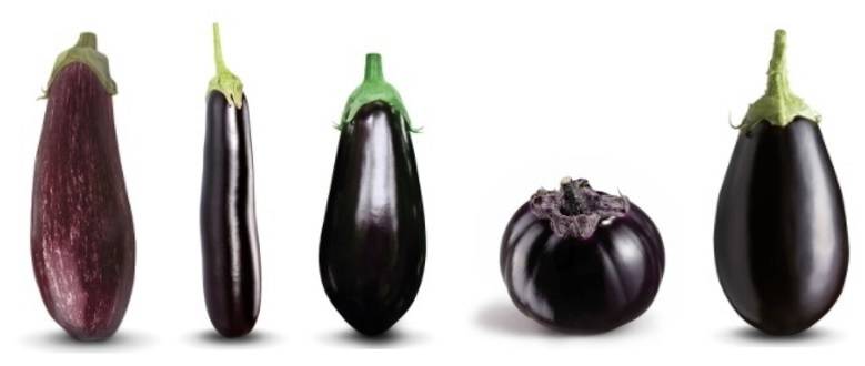 BSF|Berenjena Amalia|1426583184-1-0